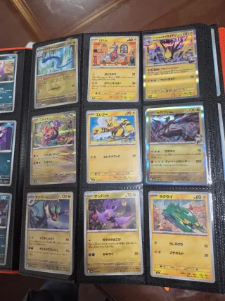 Lote Cartas Pokémon