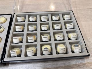 Colección minerales y piedras preciosas