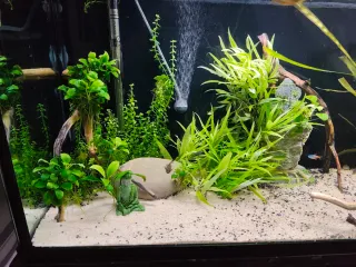 Acuario 240l completo