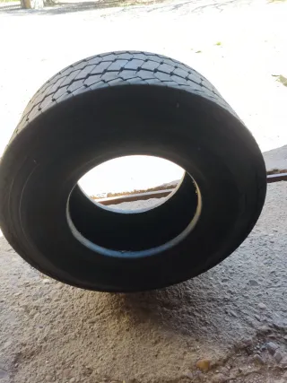 Neumático para remolque 20.5x8.0-10