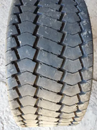 Neumático para remolque 20.5x8.0-10