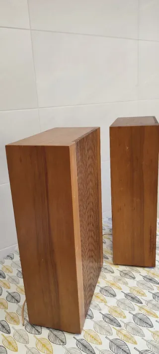 Altavoces Vintage Madera