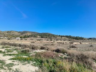 FINCA RUSTICA EN SAX (ALICANTE)