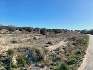 FINCA RUSTICA EN SAX (ALICANTE)