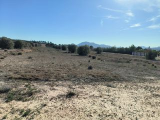 FINCA RUSTICA EN SAX (ALICANTE)