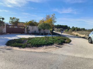 FINCA RUSTICA EN SAX (ALICANTE)