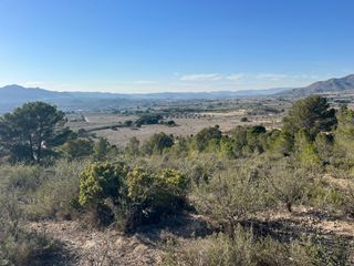 FINCA RUSTICA EN SAX (ALICANTE)