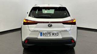 Lexus UX 300H +