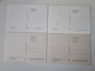 Set di 12 cartoline degli animali dello Zoo di Madrid