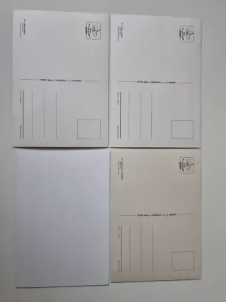 Set di 12 cartoline degli animali dello Zoo di Madrid