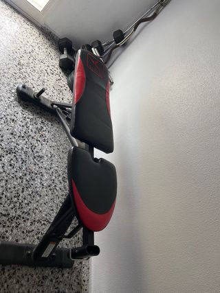 Lote pesas, barras y banco