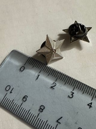 Spillette pin a forma di stella