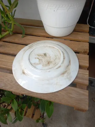 Plato antiguo decorado floral dorado