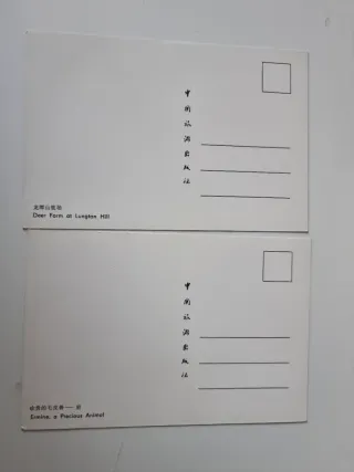 Set di 13 Cartoline di Animali