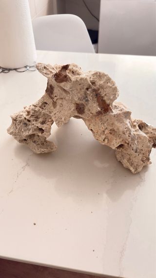 Rocas para acuario de cíclidos