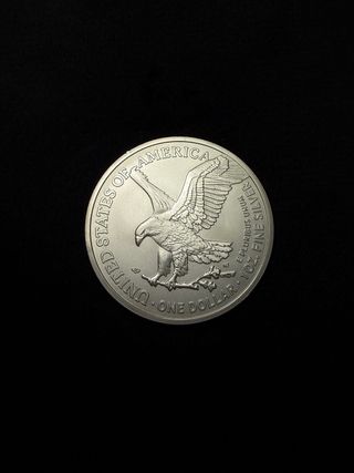 Moneda Plata Onza American Eagle 2024