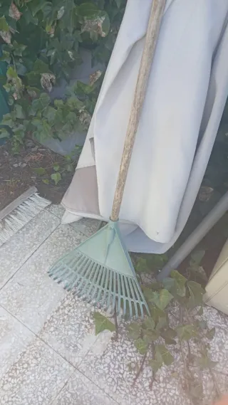 Rastrillo de jardín verde