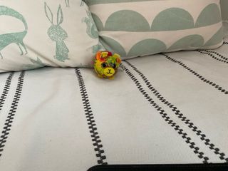 Lote 5 peluches: Oso, Conejo, Gato