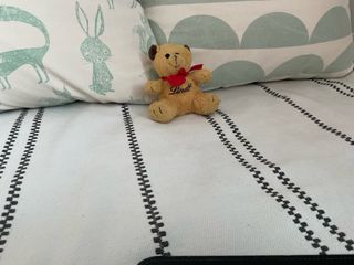 Lote 5 peluches: Oso, Conejo, Gato