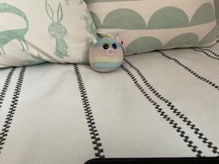 Lote 5 peluches: Oso, Conejo, Gato