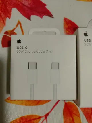 Caricabatterie Apple USB-C 20W e cavo 60W