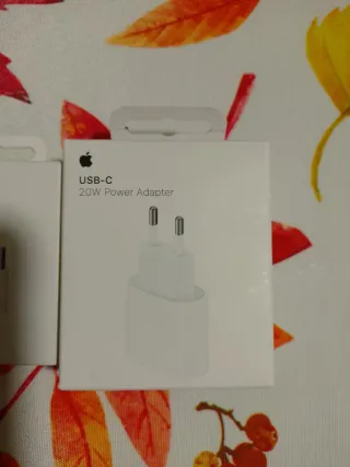 Caricabatterie Apple USB-C 20W e cavo 60W