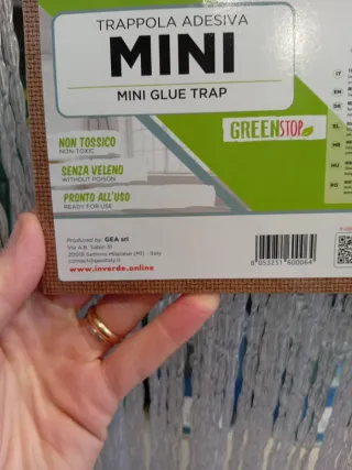 Trappole adesive InVerdel MINI 2pezzi X10 trappole