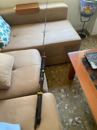 Caña de pescar Shakespeare Ugly Stik GX2 2.50m
