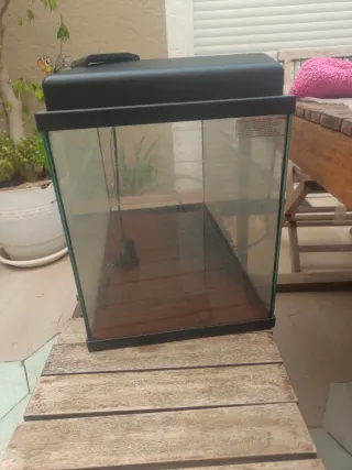 Pecera grande con termómetro