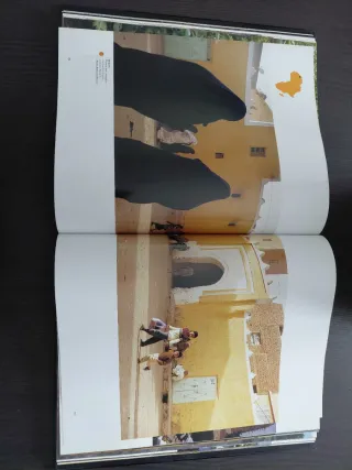 A Day in the Life of Africa