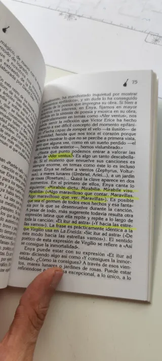 ENYA : Libro Sergio Casado Ed. Cátedra