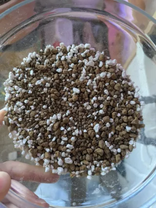 Rare begonia substrate - 3 pack