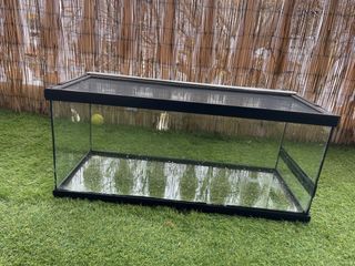 Terrario para reptiles negro y transparente