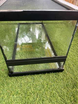Terrario para reptiles negro y transparente