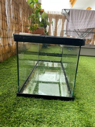 Terrario para reptiles negro y transparente