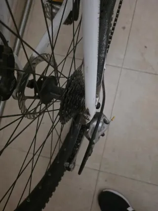 Bici MTB COMMENÇAL TEAM 5 26 Aluminio