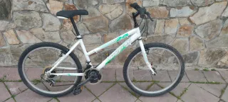Bicicleta MTB 24" Boomerang