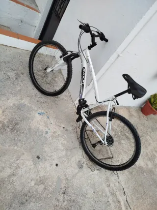 Bicicleta da montagna INDUR 2650