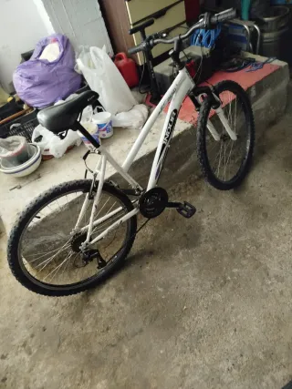 Bicicleta da montagna INDUR 2650