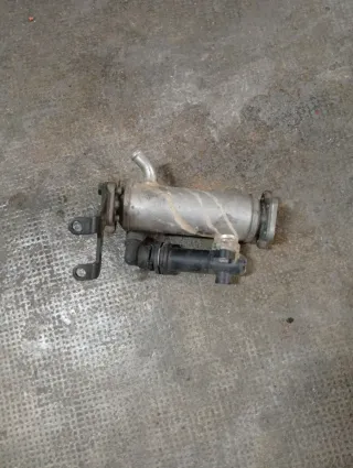 Enfriador EGR BMW E46 320d 136cv