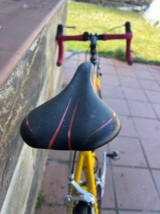 Bicicleta Carretera Giant Pelotón Super Lite