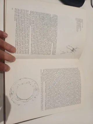 El goce de amar. Guía ilustrada del amor