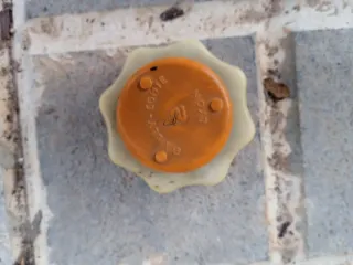 Tapón botella expansión  Peugeot 205 Winner