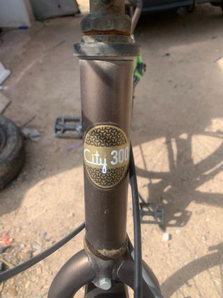 Bicicleta City 300