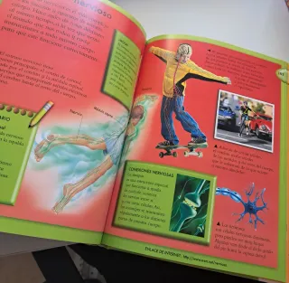 Libro Cuerpo Humano Todo Necesitas Saber