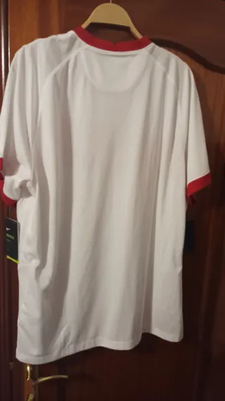 Camiseta Nike Selección Turquía