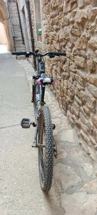 Bicicleta de montaña Monty rosa