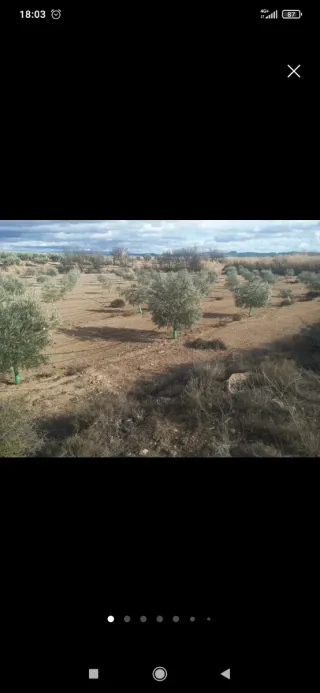 Terreno de 7100m con regadío