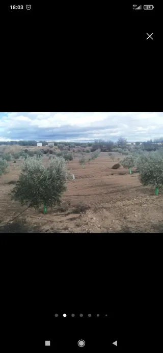Terreno de 7100m con regadío