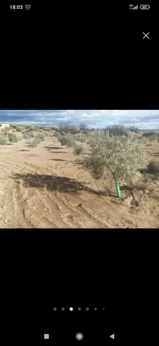 Terreno de 7100m con regadío